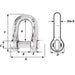 Wichard Captive Pin D Shackle - Diameter 5mm - 3/16" [01402]-North Shore Sailing