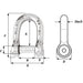 Wichard Self-Locking Allen Head Pin D Shackle - 8mm Diameter - 5/16" [01304]-North Shore Sailing